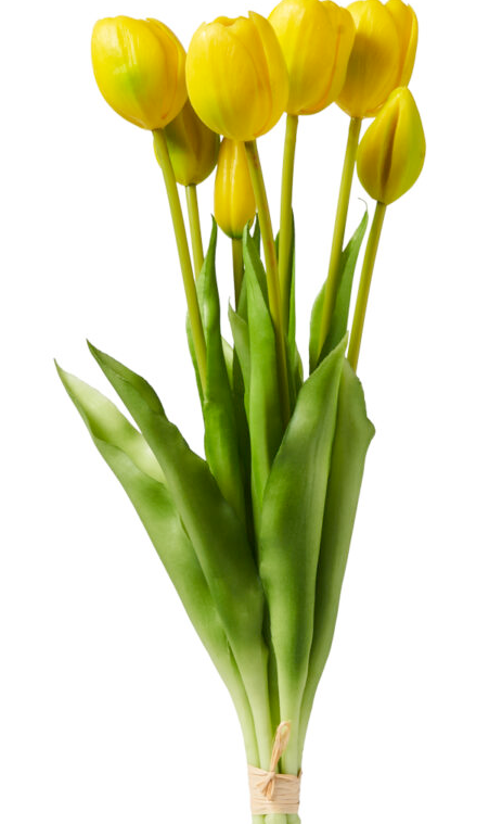 Tulipani Real Touch Gialli