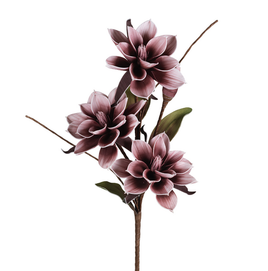 Gardenia Lilla