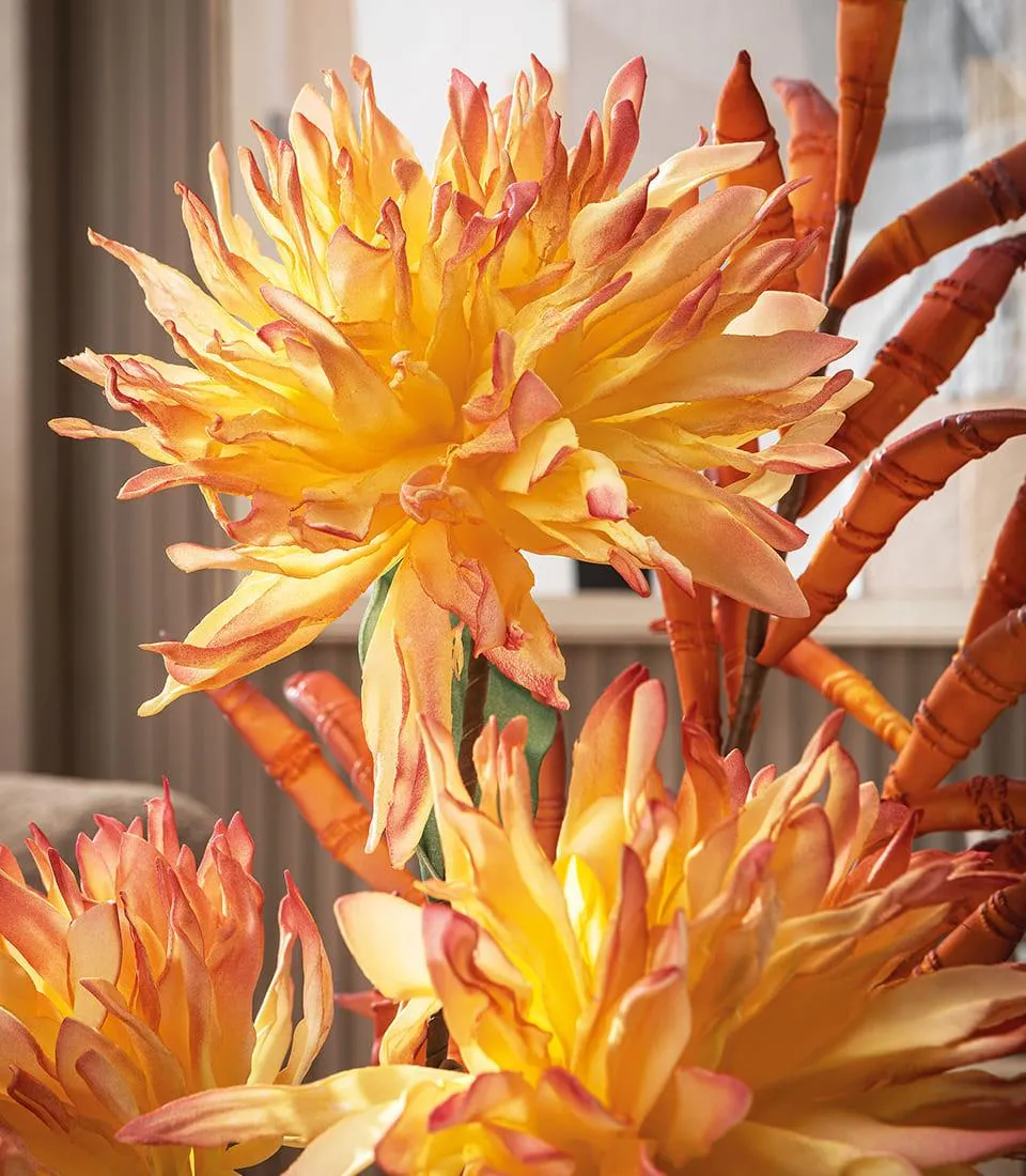 Lycoris Gialla