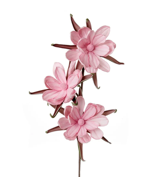 Bombax Ceiba Rosa