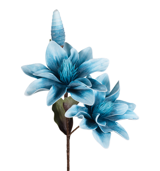 Lilium Azzurro