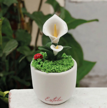 Piantina Estate con Coccinella Portafortuna – Ceramica Artigianale