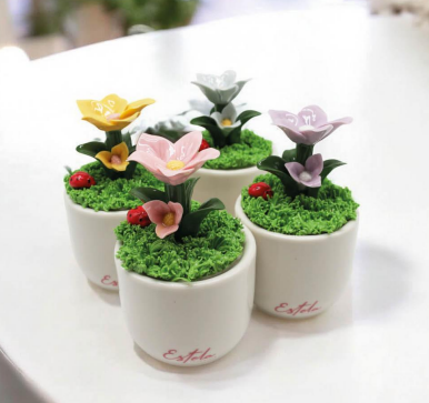 Piantina Estate con Coccinella Portafortuna – Ceramica Artigianale
