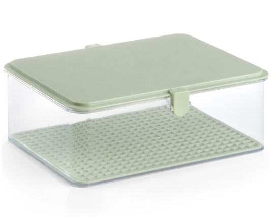 Degustibus — Contenitore Salva Sapori/Vassoio Servintavola 22x16x10 cm