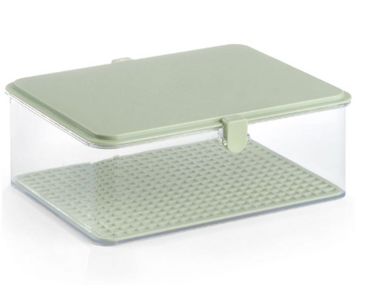 Degustibus — Contenitore Salva Sapori/Vassoio Servintavola 22x16x10 cm