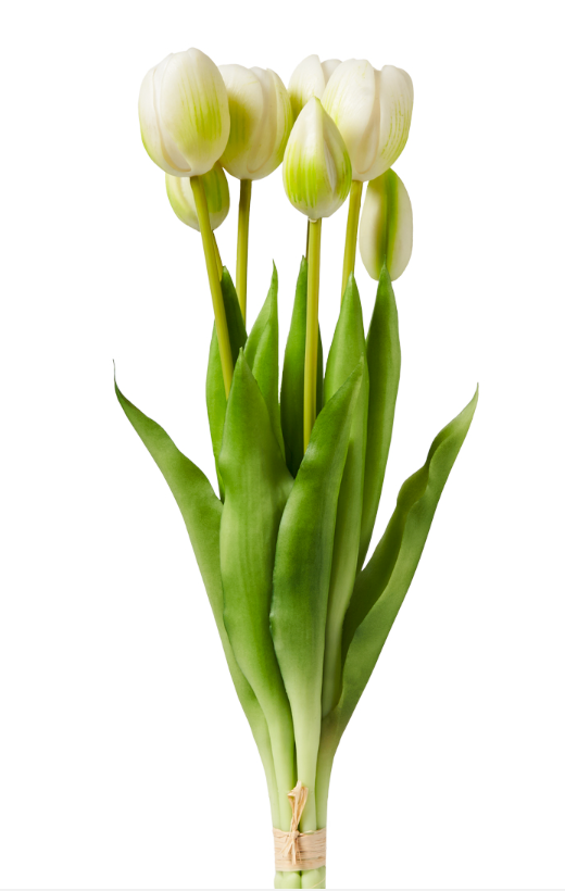Tulipani Real Touch Bianchi