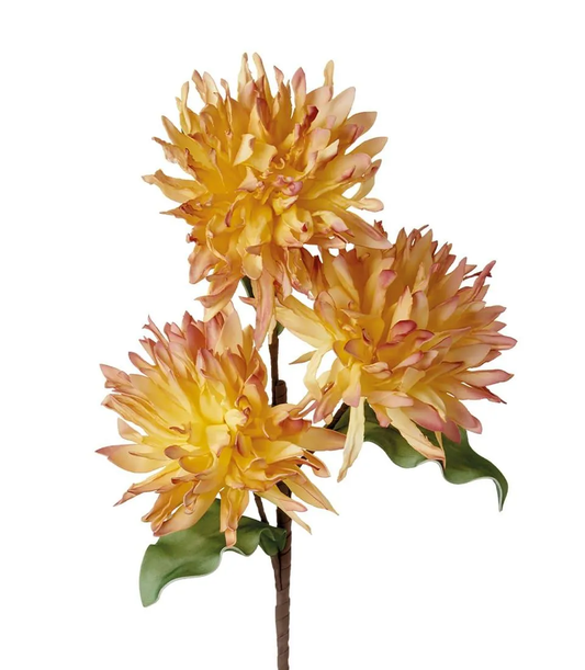 Lycoris Gialla