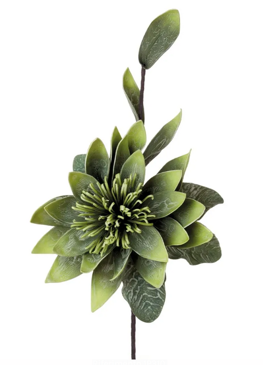 Fiore di Loto Verde